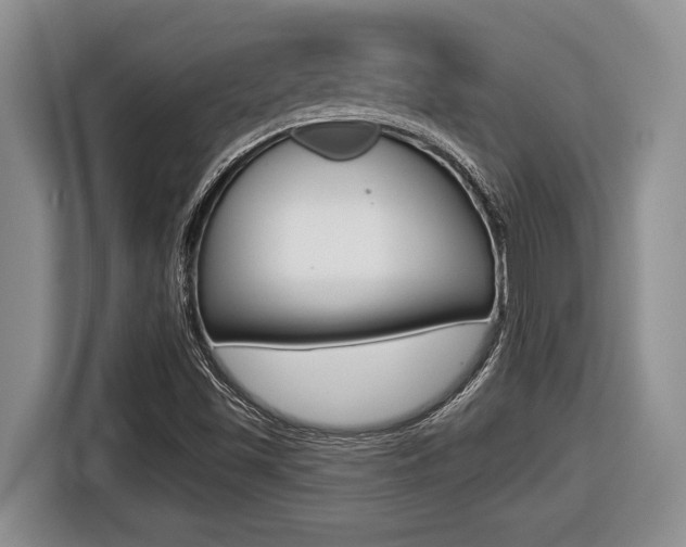 X0000116451501200912081402