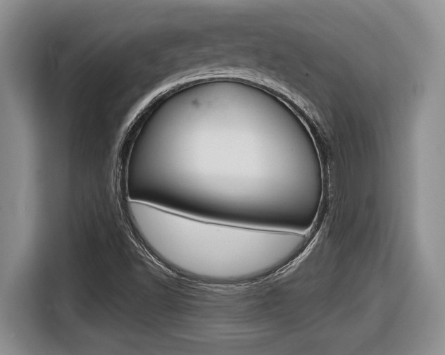 X0000116451502200912081402
