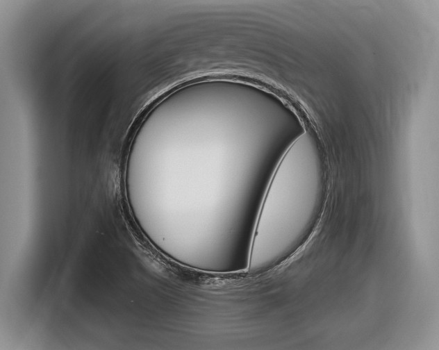 X0000116451505200912081402