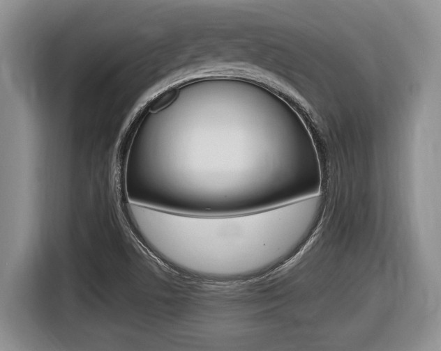 X0000116451506200912081402