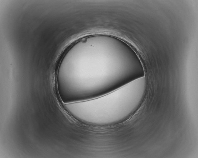 X0000116451507200912081402