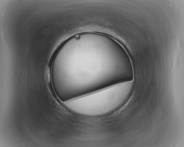 X0000116451509200912081403