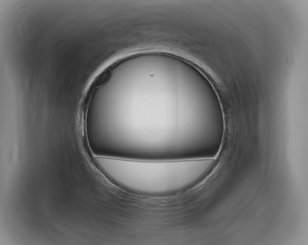 X0000116451510200912081403