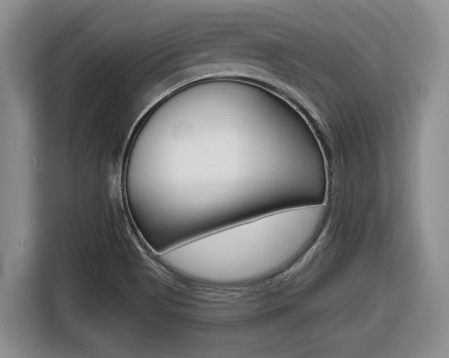 X0000116451513200912081403