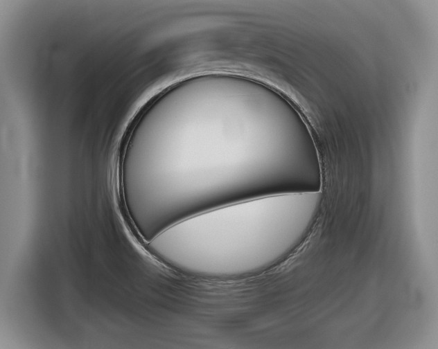 X0000116451515200912081403