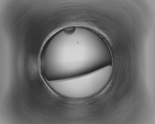X0000116451517200912081403