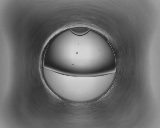X0000116451518200912081403