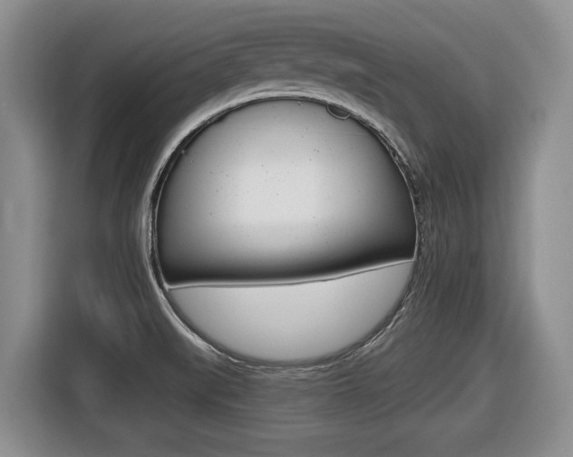 X0000116451519200912081403