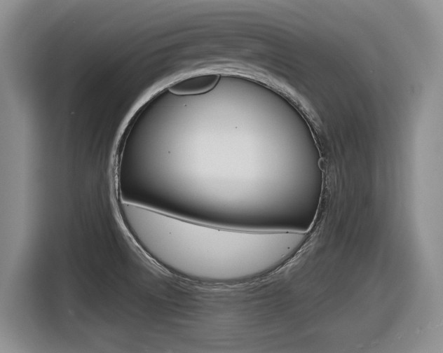 X0000116451522200912081403