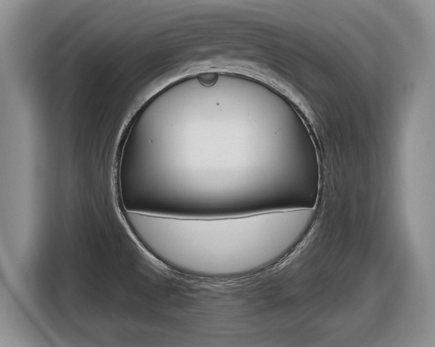 X0000116451525200912081403