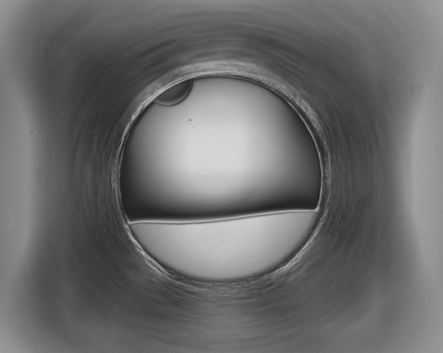 X0000116451529200912081403