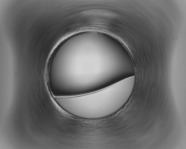X0000116451531200912081403