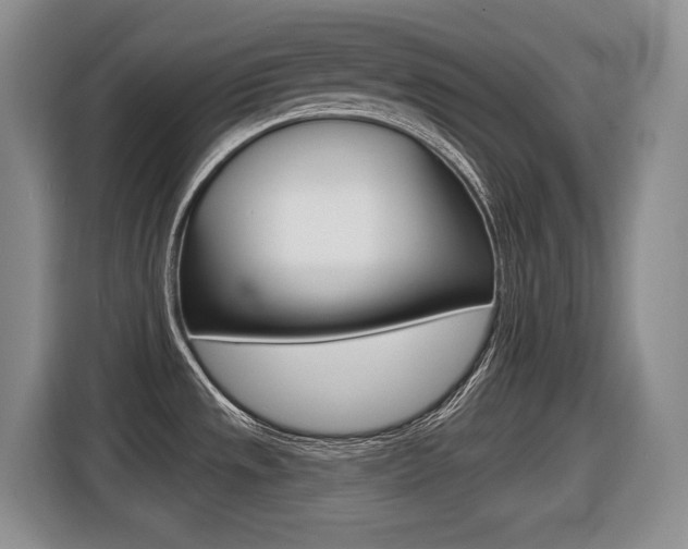 X0000116451533200912081403