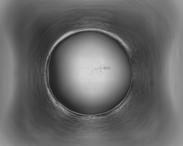 X0000116451534200912081403