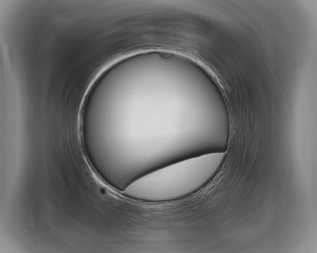 X0000116451535200912081403