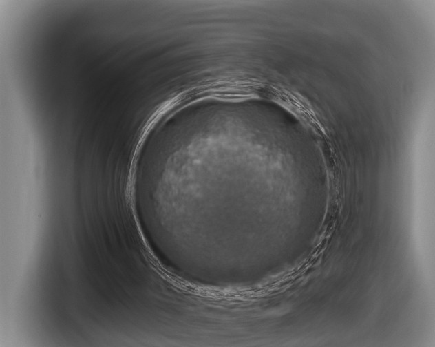 X0000116450003200912081627