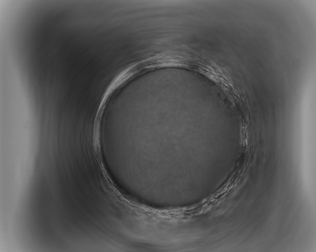 X0000116450004200912081627