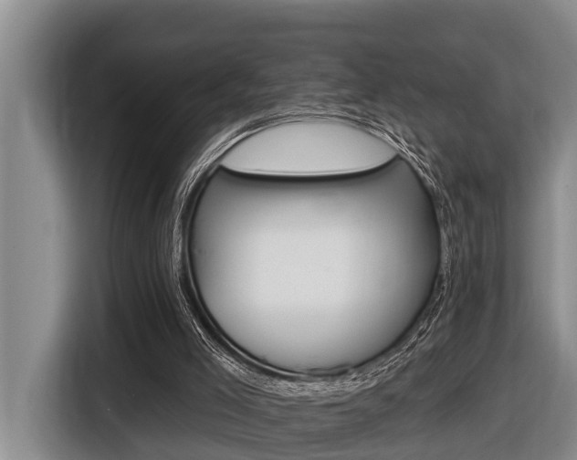 X0000116450005200912081627