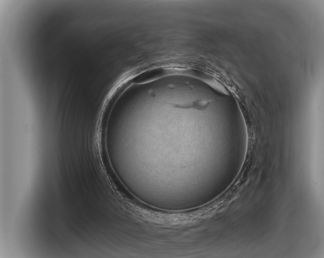 X0000116450006200912081627