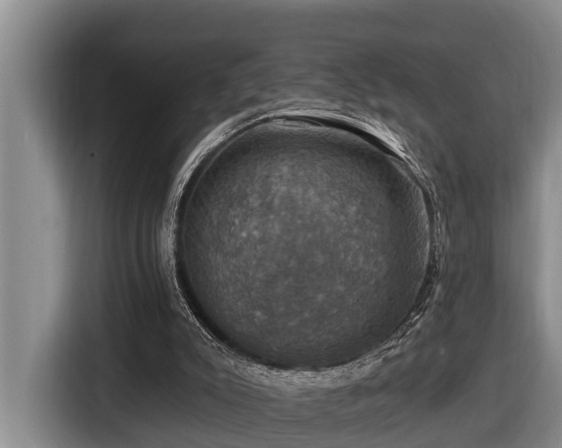 X0000116450007200912081627