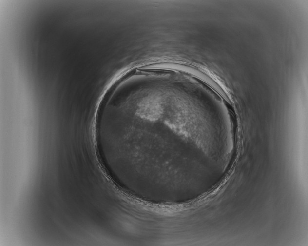 X0000116450008200912081627