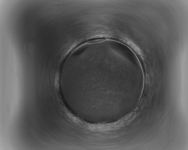 X0000116450009200912081627