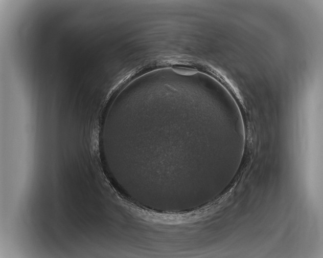 X0000116450010200912081627