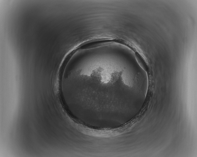 X0000116450012200912081627