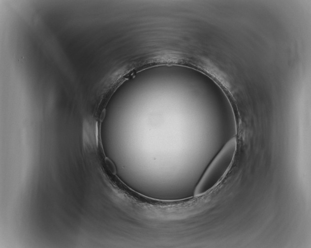 X0000116450013200912081627