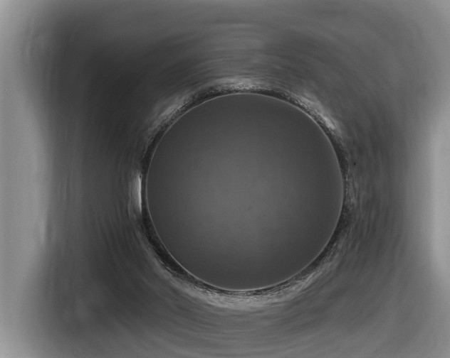 X0000116450014200912081627