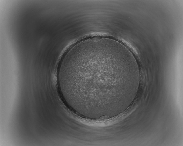 X0000116450015200912081627