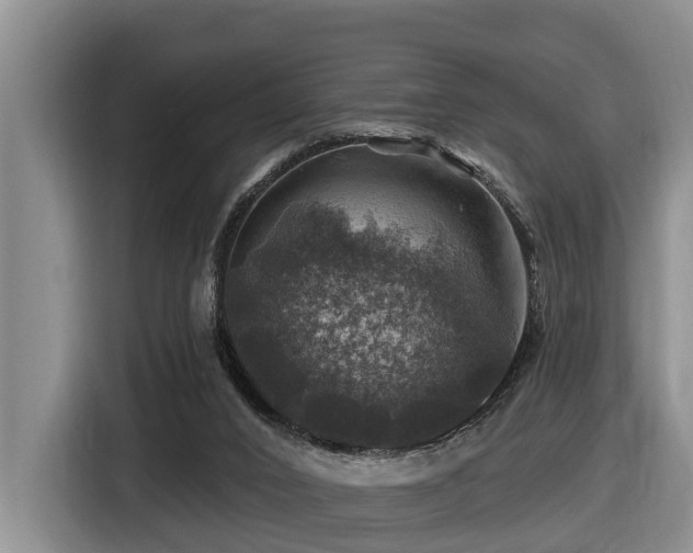 X0000116450016200912081627