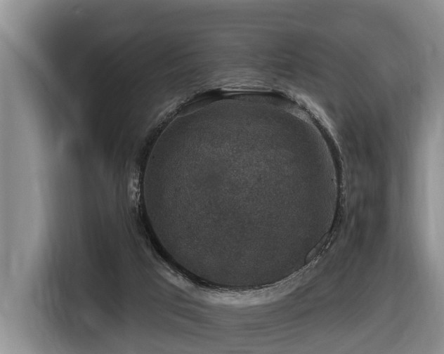 X0000116450017200912081627