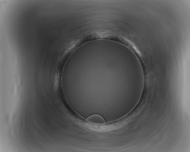 X0000116450018200912081627