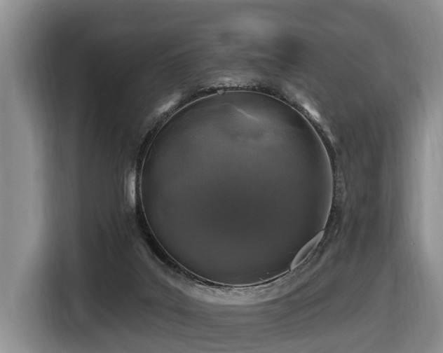 X0000116450019200912081627