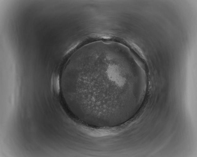 X0000116450020200912081627