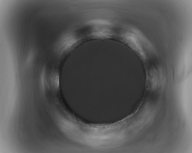 X0000116450021200912081627