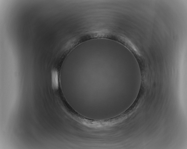 X0000116450022200912081627