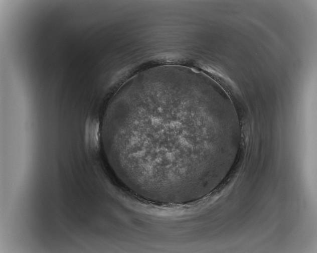 X0000116450024200912081627