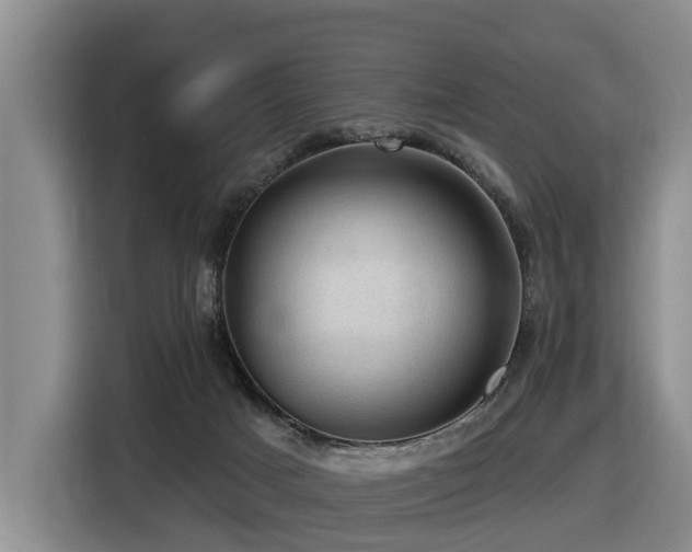 X0000116450025200912081627