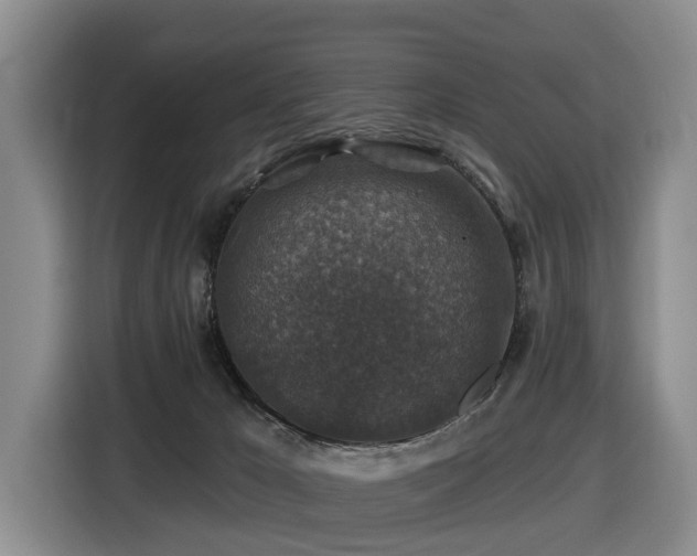 X0000116450029200912081627