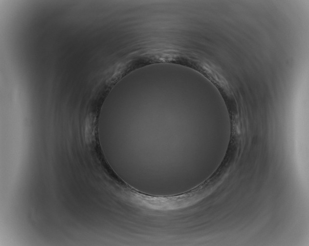 X0000116450030200912081627