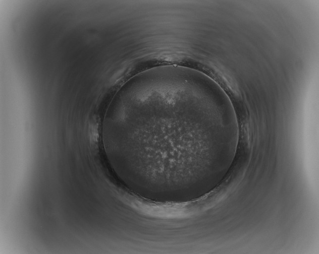 X0000116450032200912081627
