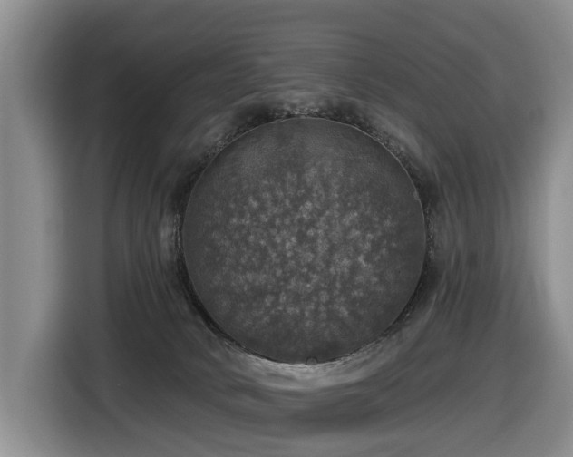 X0000116450034200912081627