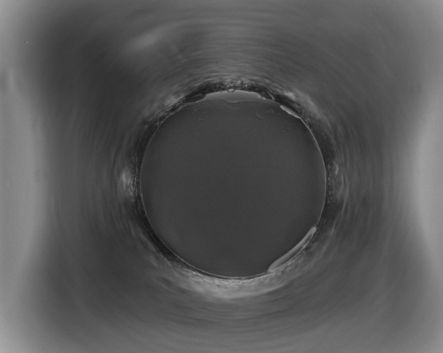 X0000116450039200912081627