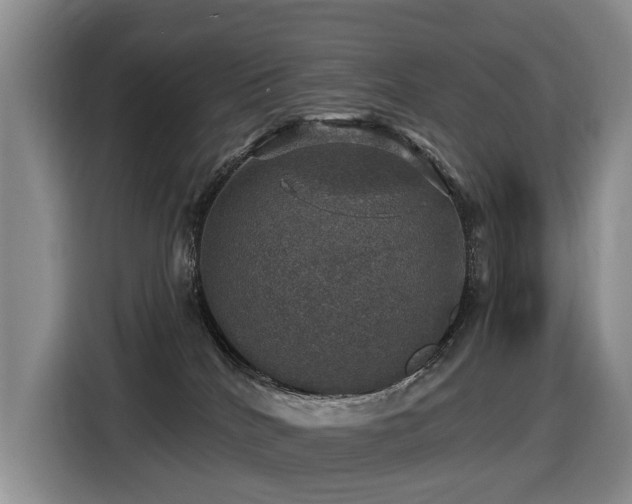 X0000116450040200912081627