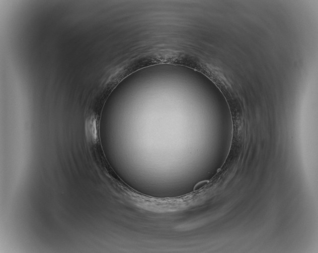 X0000116450042200912081627