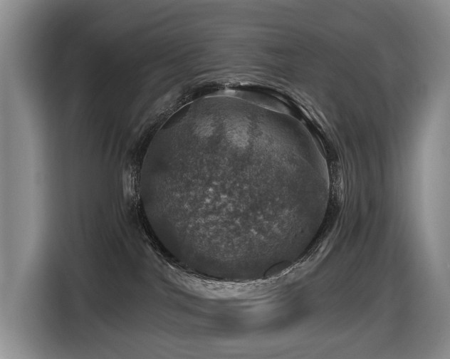 X0000116450044200912081627