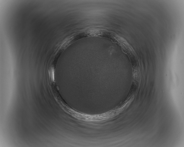 X0000116450046200912081627