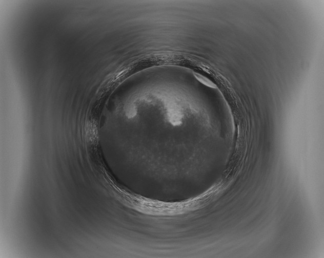 X0000116450048200912081627